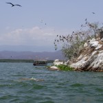 Lagune bei Acapulco