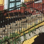 Zacatecas