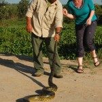 Anakonda Los Llanos, Fotografin Alexandra Bonchor