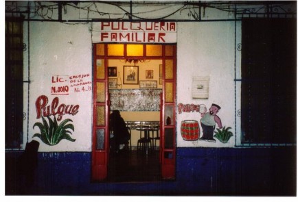 Pulque – trinkbare Geschichte