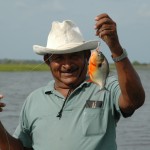 Piranhafischen in Los LLanos von Venezuela