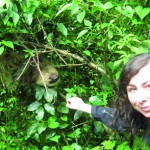 bald könnt ihr mit dem Faultier in Costa Rica kuscheln