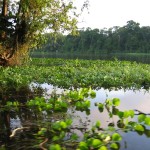 Naturparadies Costa Rica