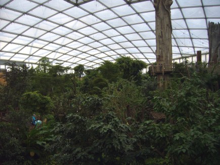 Blick in den Leipziger Regenwald