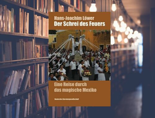 Buchtipp: „Der Schrei des Feuers“ von Hans-Joachim Löwer