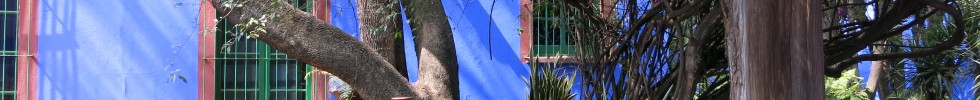 IMG_0089