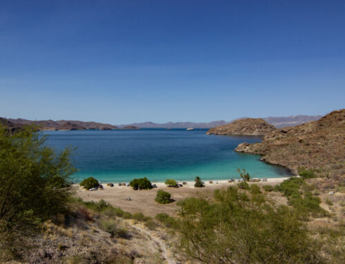 Baja California – Reisetipps für 2024