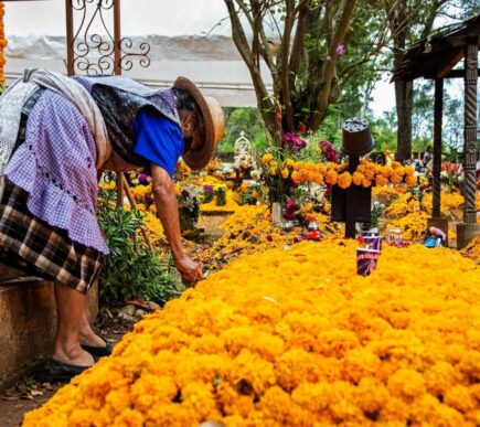 Dia de los Muertos in Mexiko: Ein Fest der Farben, Kostüme und Traditionen