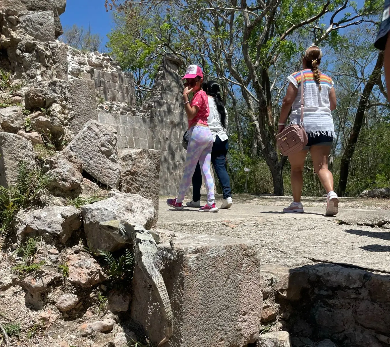 Touristen spazieren neben einem Leguan in Yucatan, Mexiko