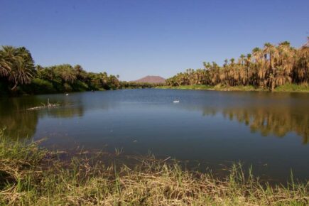 San Ignacio: Ein Paradies aus Dattelpalmen und klaren Quellen