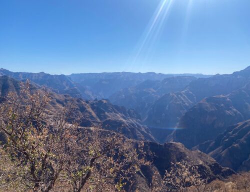 Zwischen Schluchten und Stille: Wie ich Mexiko bei meiner Reise durch den Kupfer Canyon neu erlebte
