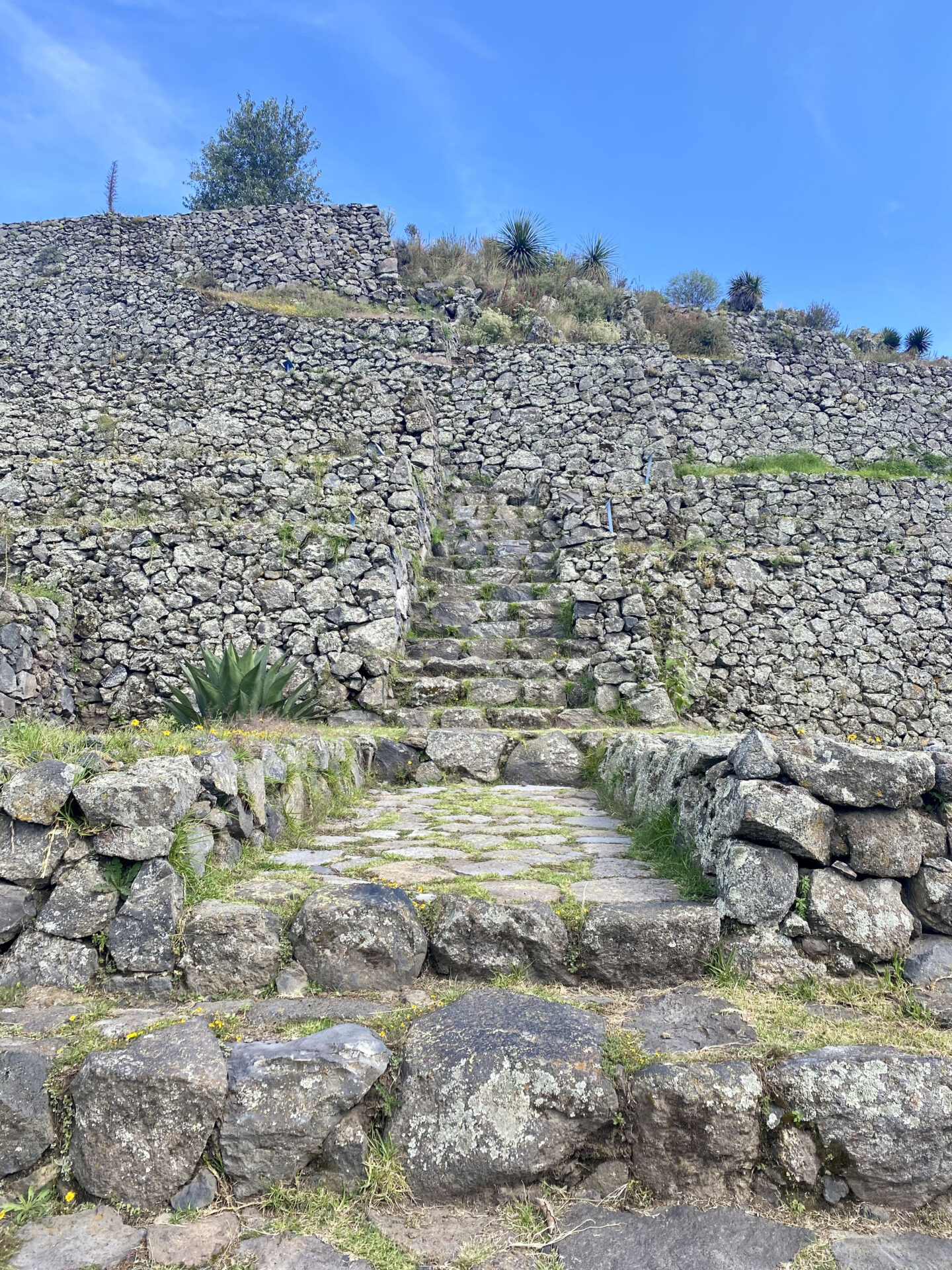 Ein Rundweg führt über das Ausgrabungsgelände von Cantona.