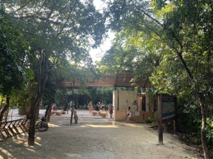 Ankunftsbereich zum Strand im Parque del Jaguar in Tulum
