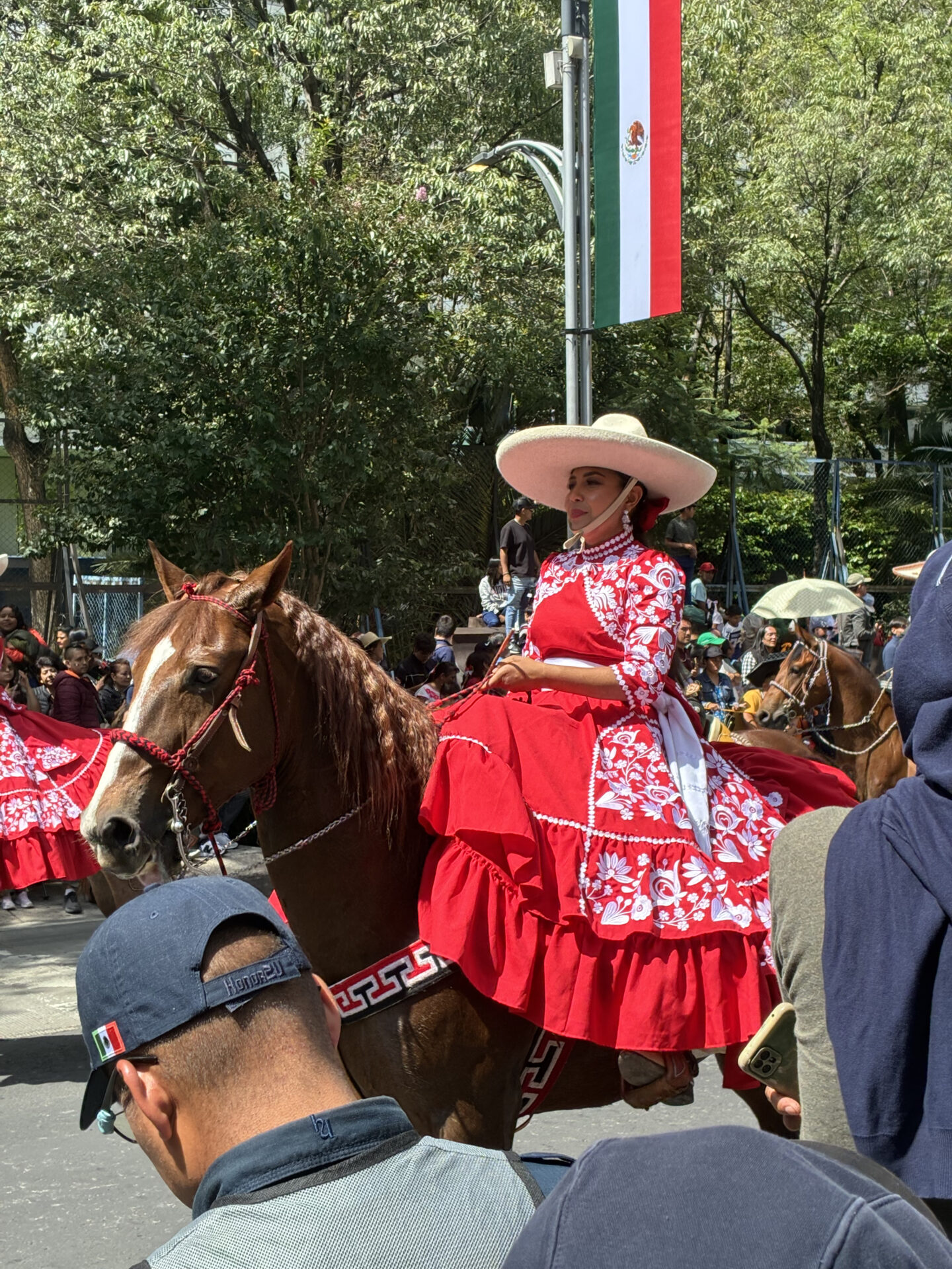 Menschen auf dem Zocalo warten auf die Parade am Dia de la Independencia